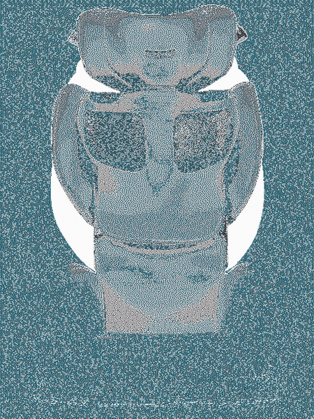 RECARO Mako Elite Select Night Black fotelik samochodowy i-size 100-150cm